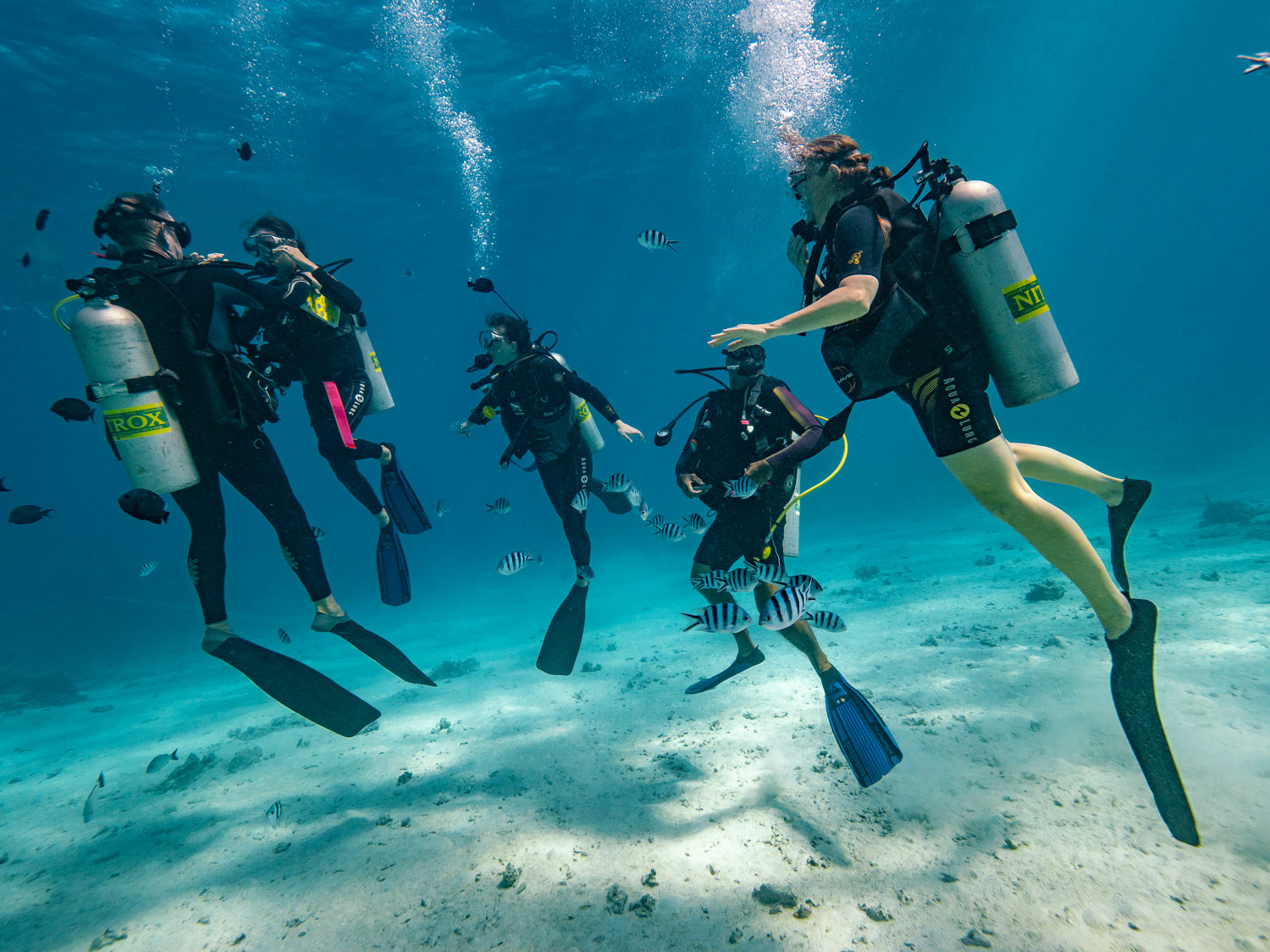 The Top Five Dive Sites In The Islands Of Tahiti