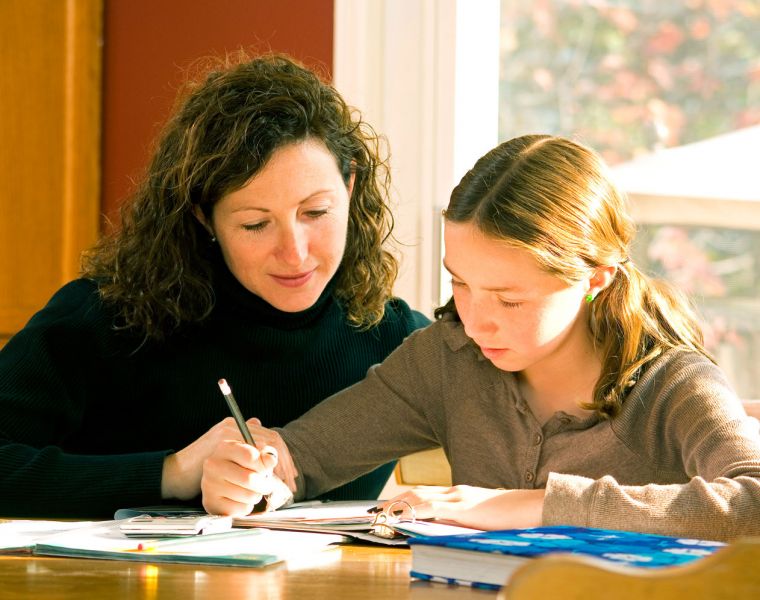 The Home-Schooling Survival Guide by Nicola Anderson at MyTutor