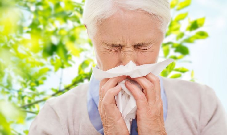 Guide On Minimising The Impact Of Hay Fever And Reducing Dust