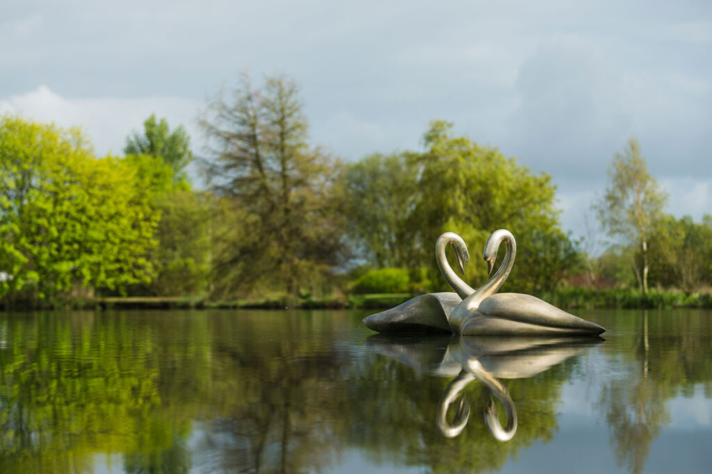 Simon Gudgeon Swans