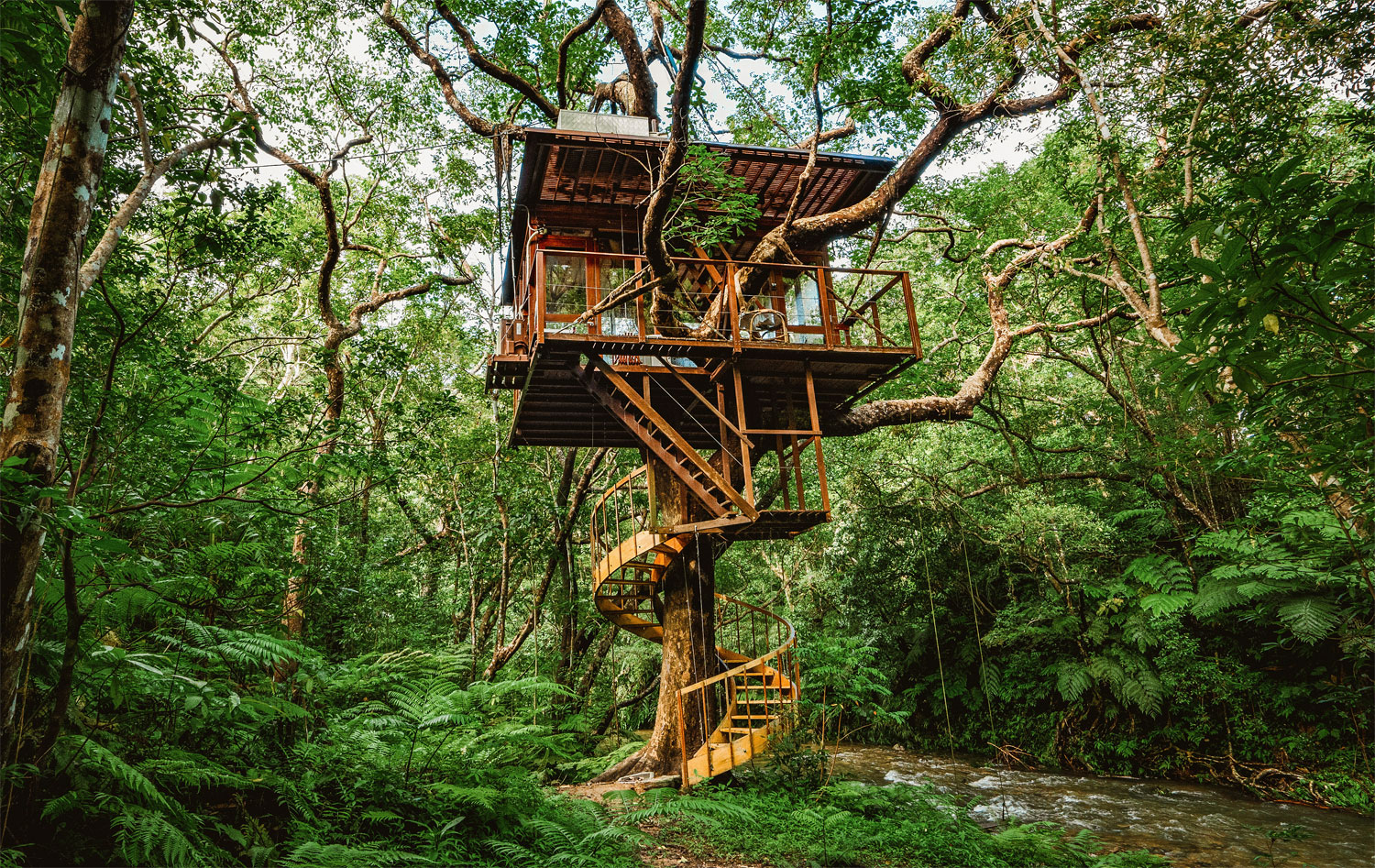 Experience Komorebi At Treeful Treehouse On Okinawa Island In 2021