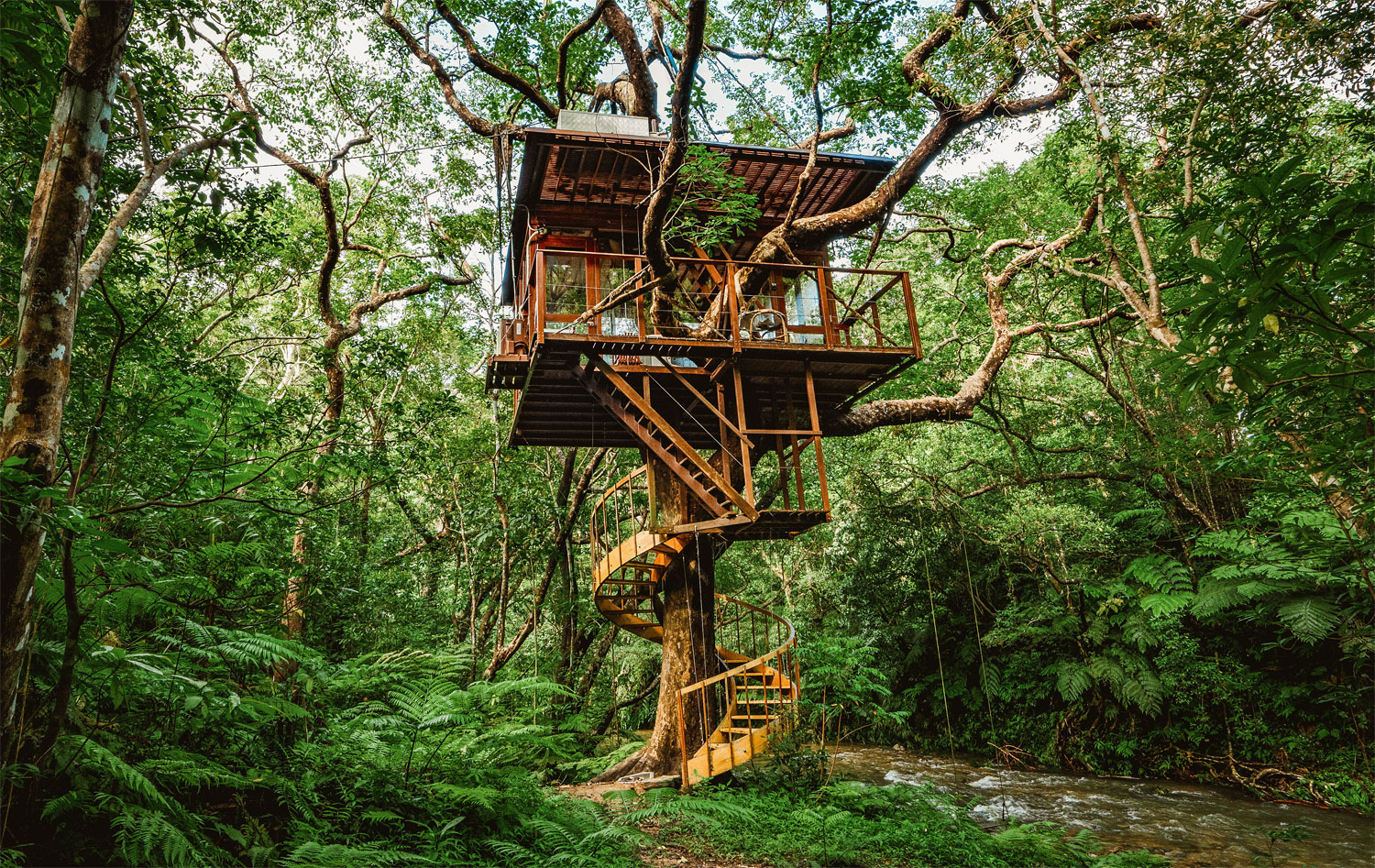 Treehouse reddit