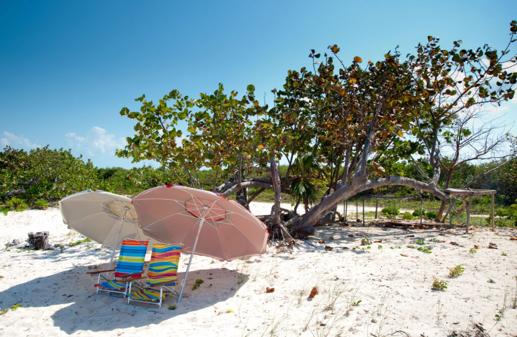 Some deckchairs and a parasol waiting on the golden sandy beach