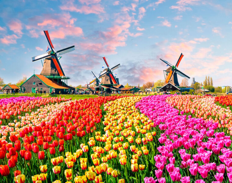 An Amazing Blooming Experience in Holland with Scenic in 2022