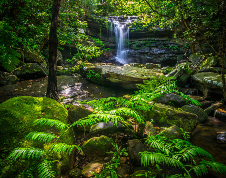 A beautiful photo of the interior of Iriomote Island taken by OCVB