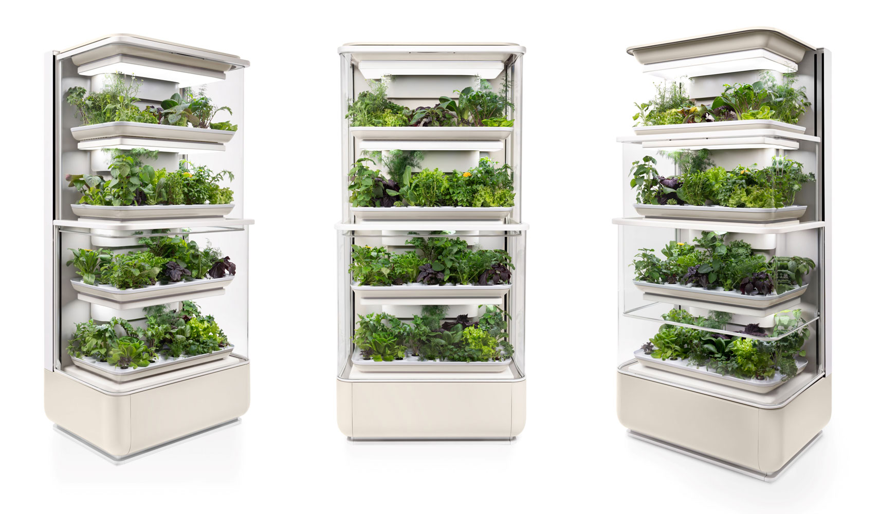 About The Revolutionary La Grangette Indoor Vegetable Garden