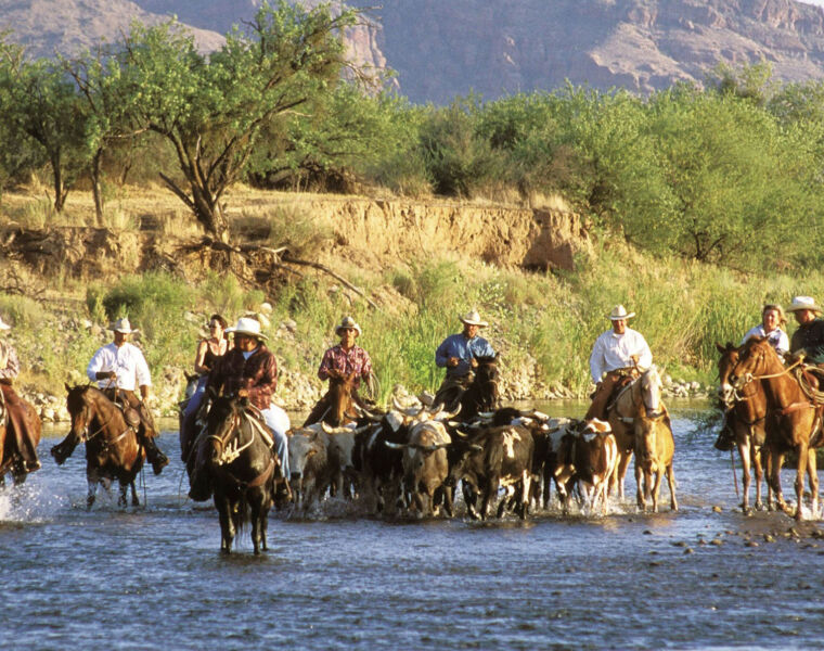 300 Days of Sunshine Each Year Makes Scottsdale, Arizona a Great Destination