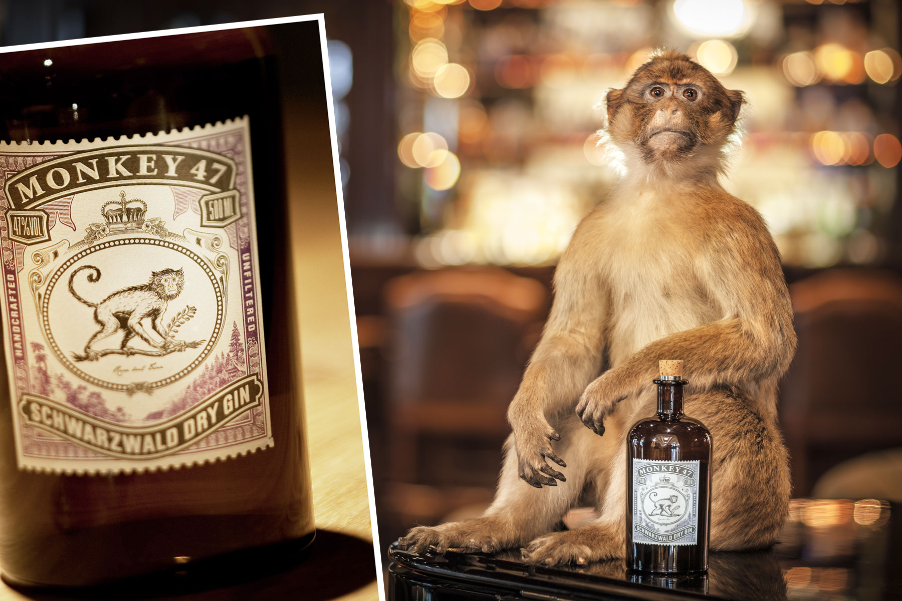 Entering The Wunderbar World Of Gin In Monkey Forest Germany\'s Black 47