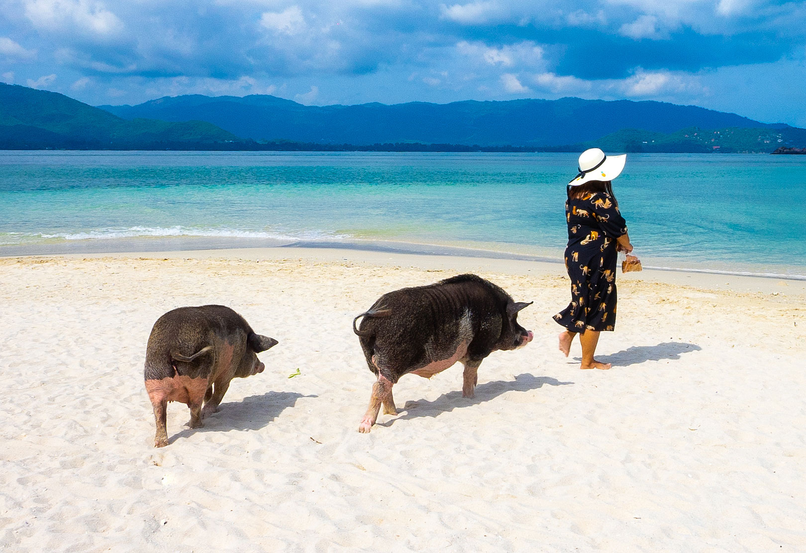 SAii Koh Samui Choengmon Invites Guests To Discover Tropical Hidden Gems