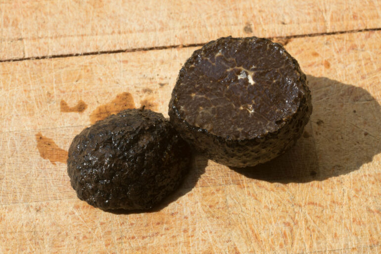 Global Demand For Truffles Is Forecasted To Grow At 8 9 From 2023 To 2033   Cut Black Truffle 770x513 