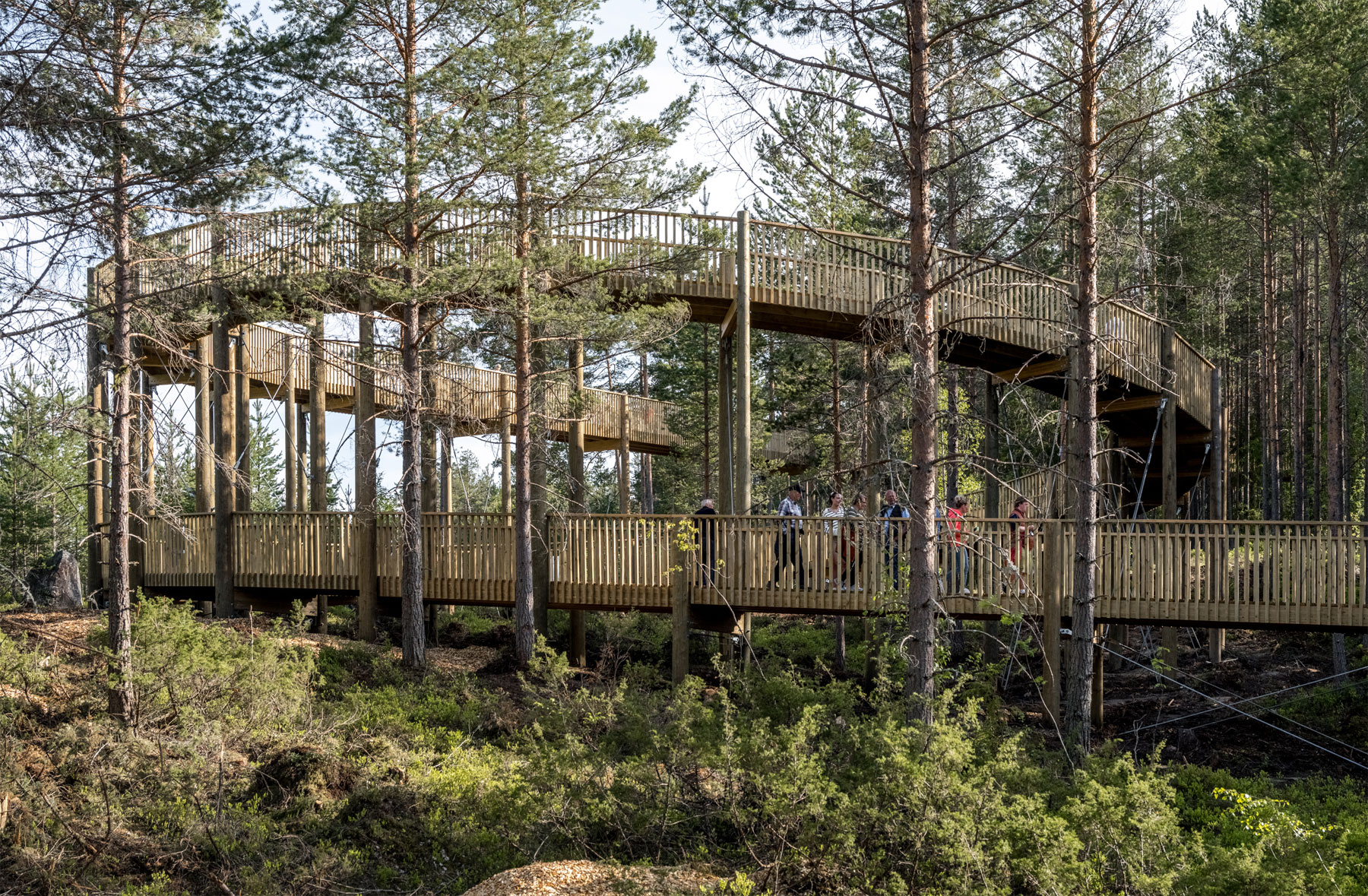 EFFEKT Creates A Natural Sanctuary For All With Norway's First Treetop Walk