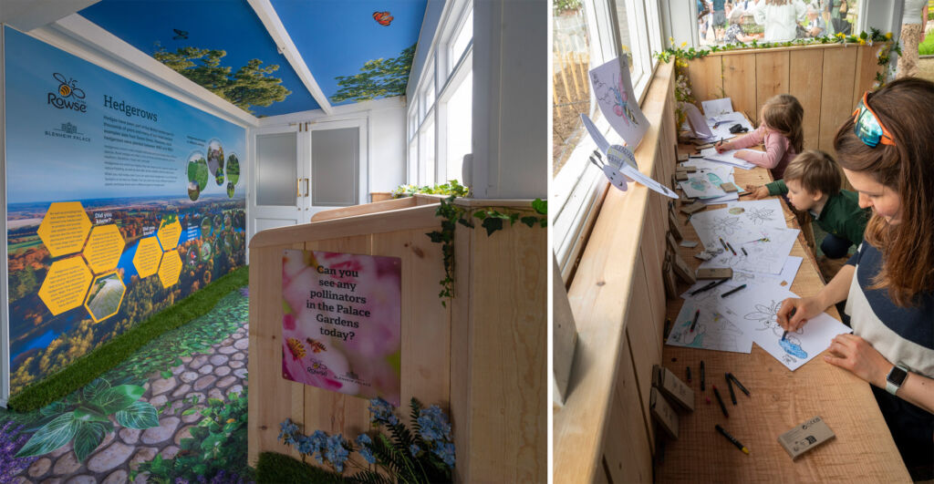 Two photographs showing inside the bee hive