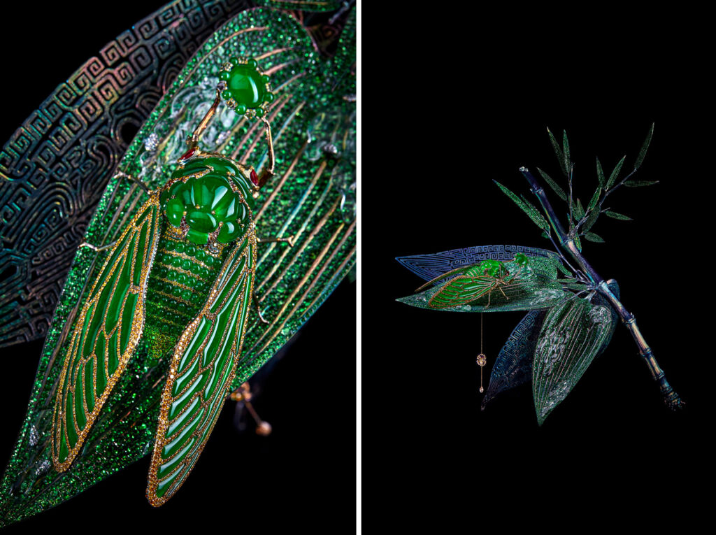 Two photographs of the Cicada