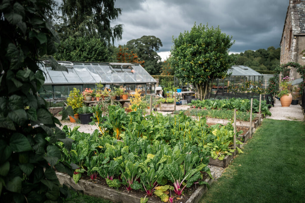 The greenhouses and vegetable patches in the gardens
