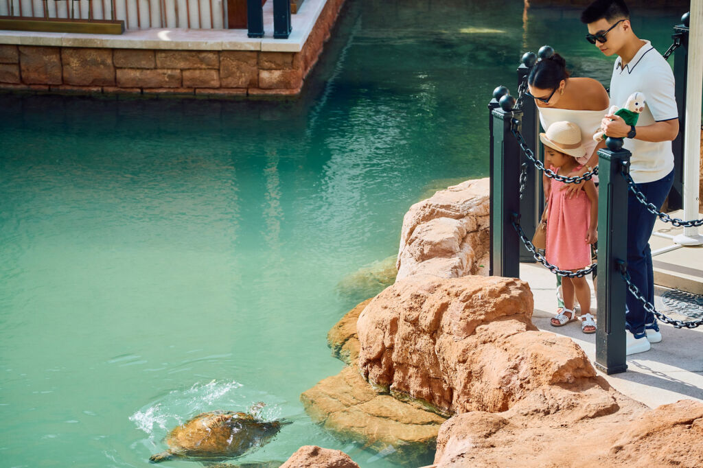 Jumeirah Al Naseem Introduces New Turtle-inspired Stay Experience