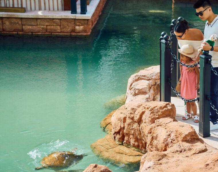 Jumeirah Al Naseem Introduces New Turtle-inspired Stay Experience