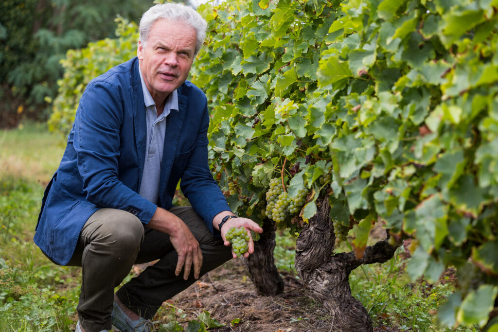 Joost examining the grapes in one of his vineyards