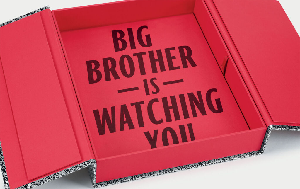 Big Brother is Watching You inside the box