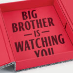 Big Brother is Watching You inside the box