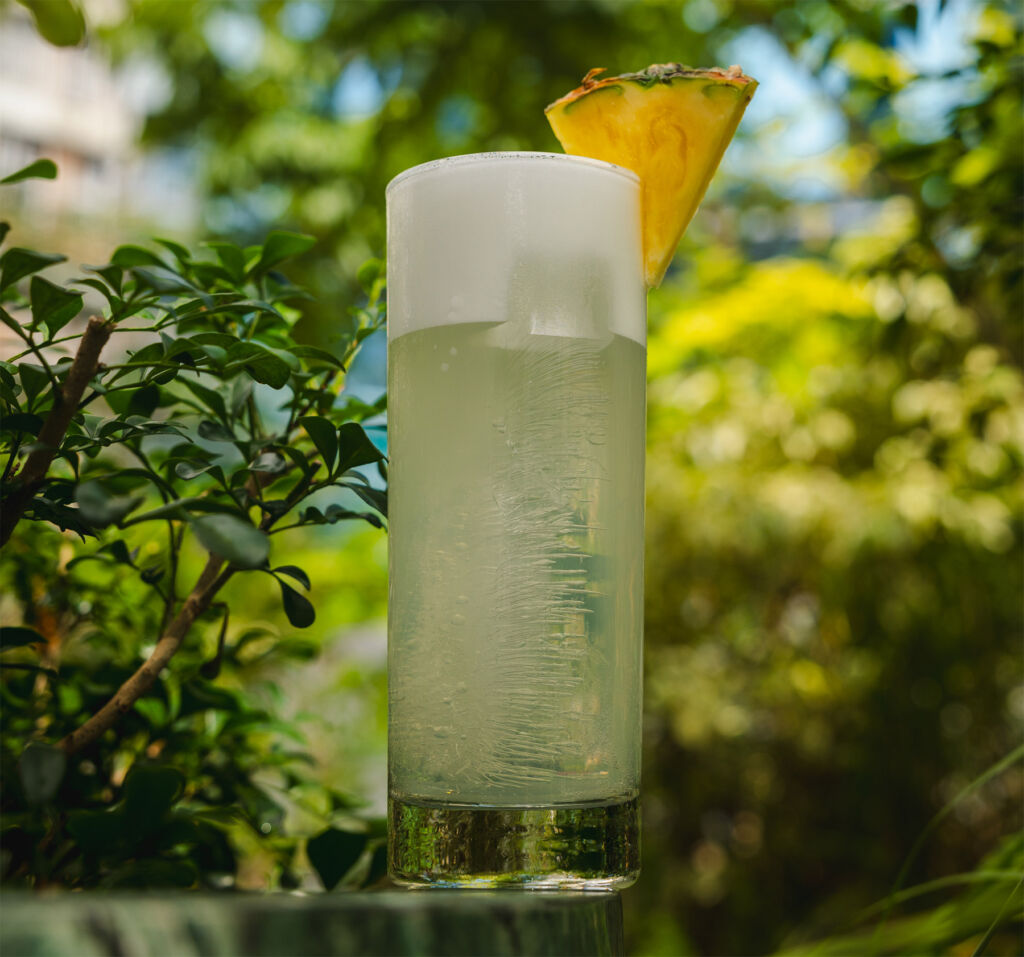 The gin fizz tropical cocktail