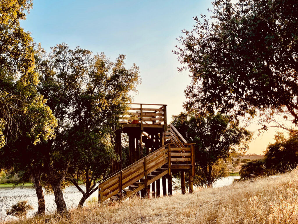 One of the wooden observation towers