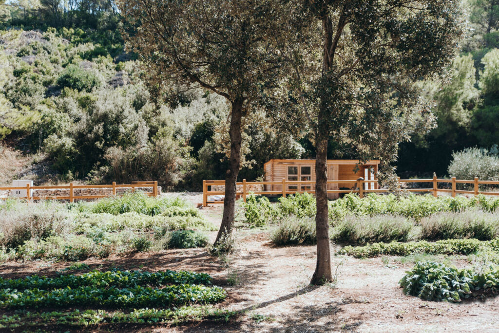 The organic garden at the resort