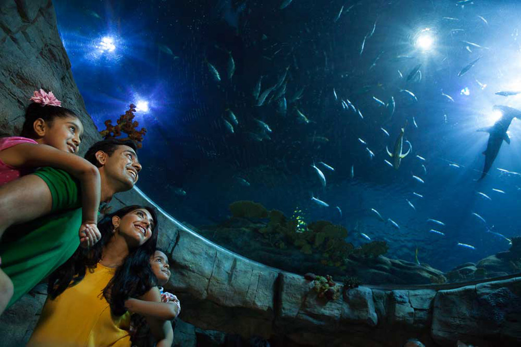 A family admiring a hammerhead shark in the aquarium