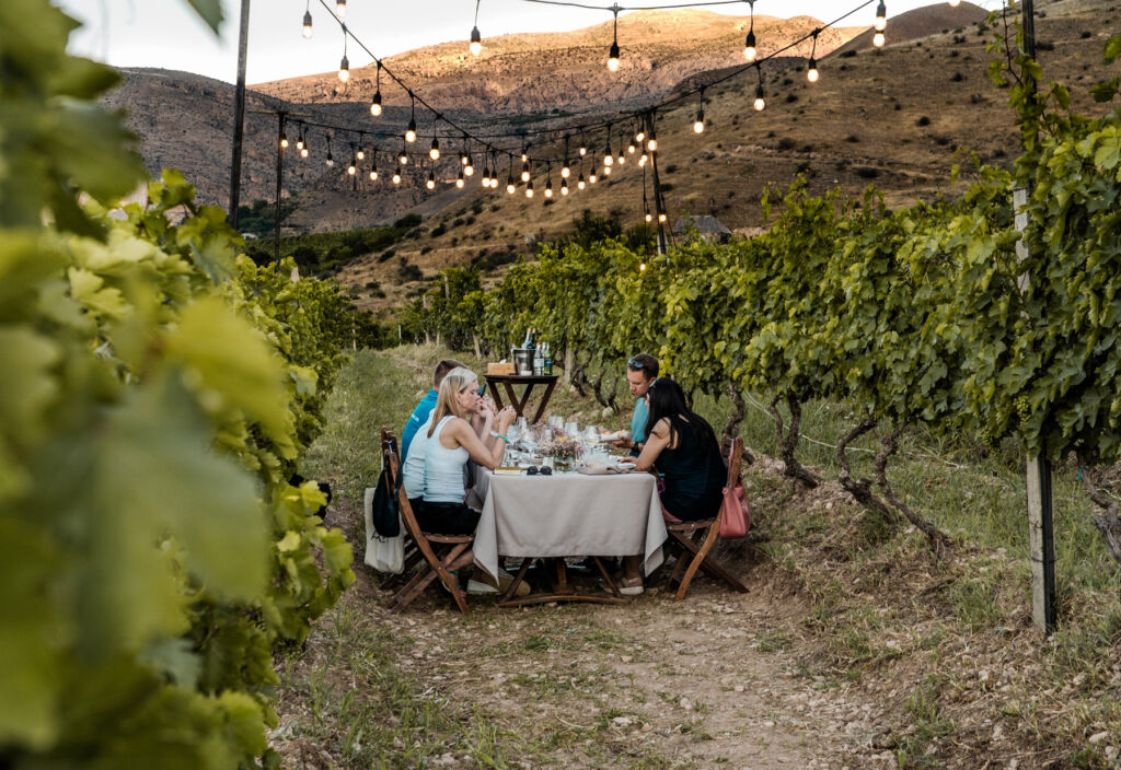 People enjoying a meal in a vineyard