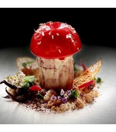 One of Alexandra's spectacular mushroom shaped desserts