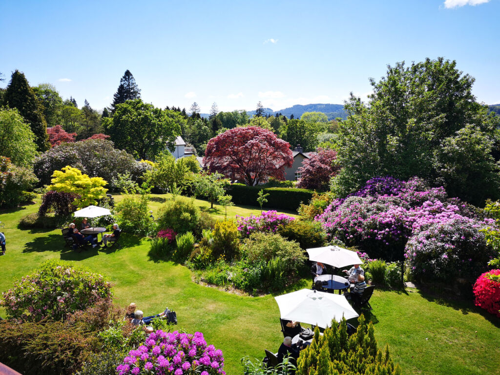 A photograph of the beautiful garden