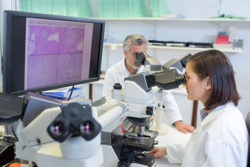 Scientists working in a laboratory