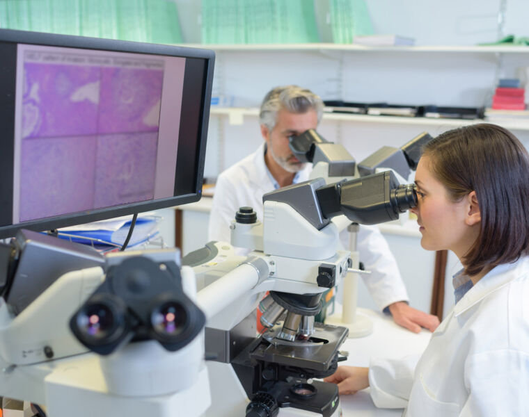 Scientists working in a laboratory