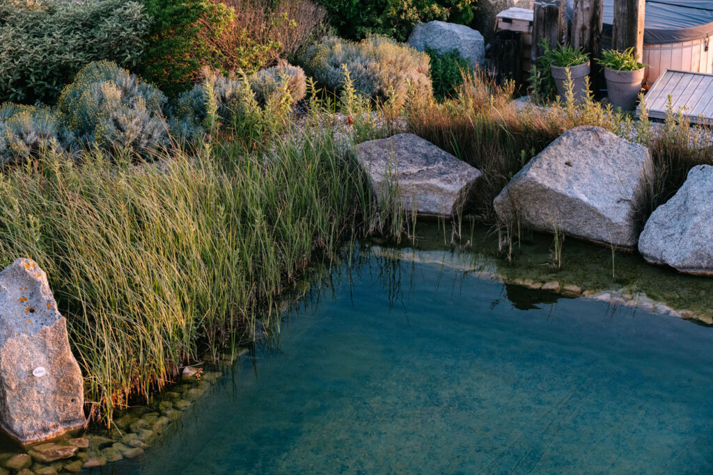 A photograph of rocks and water