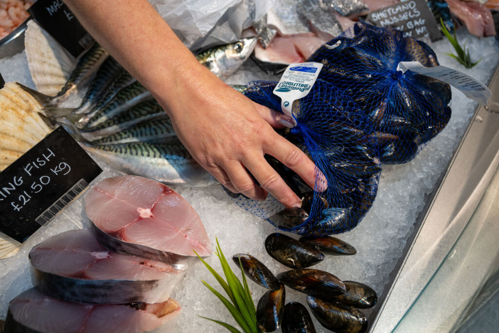 A seafood display in an ice cabinet