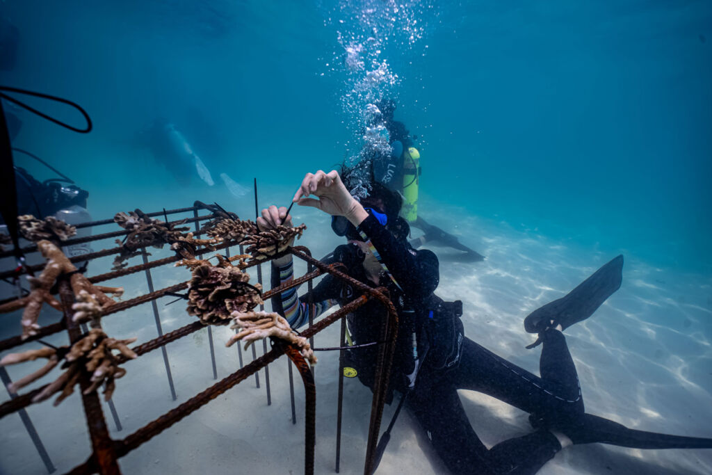 One of the female participants inspecting the coral using a snorkel