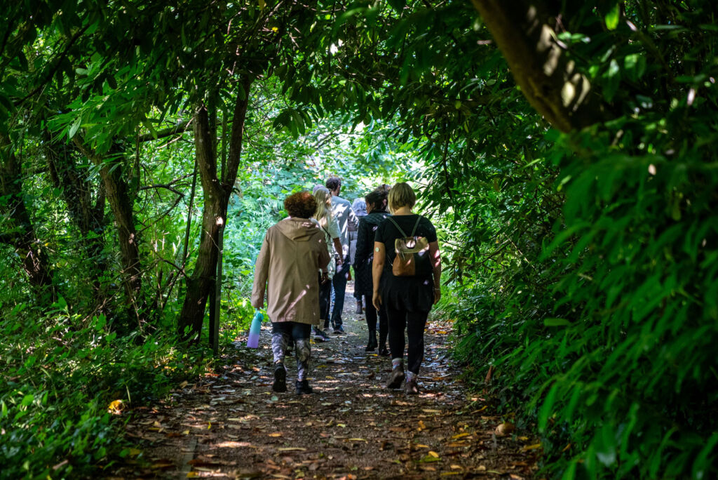 Participants on a nature walk