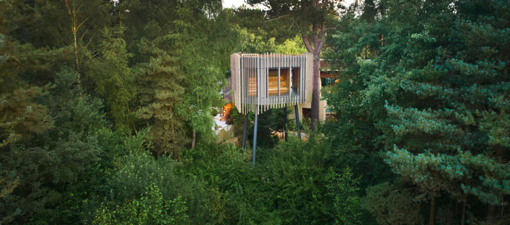 The Treetop Sauna at Sherwood Forest