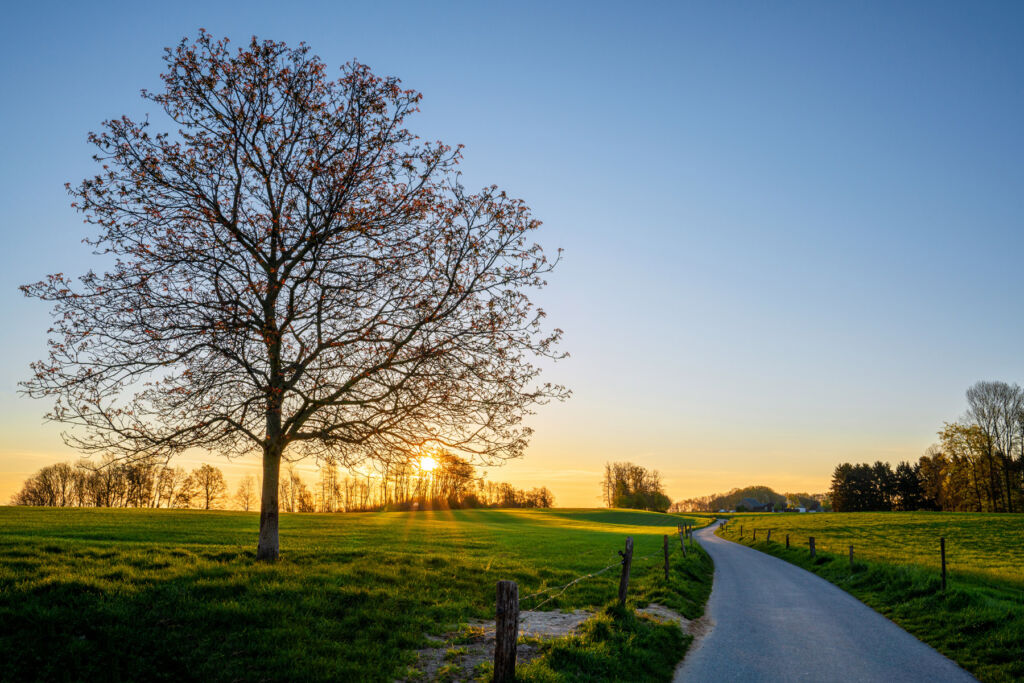 A road in the British countryside at Sunrise