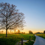 A road in the British countryside at Sunrise