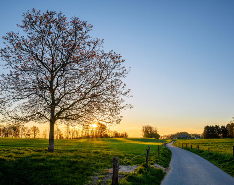 A road in the British countryside at Sunrise