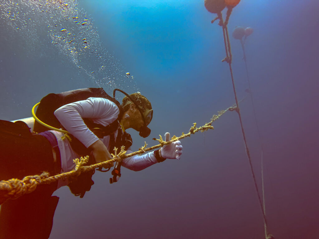 Nova Maldives Enhances Coral Restoration Efforts with Innovative Floating Nursery