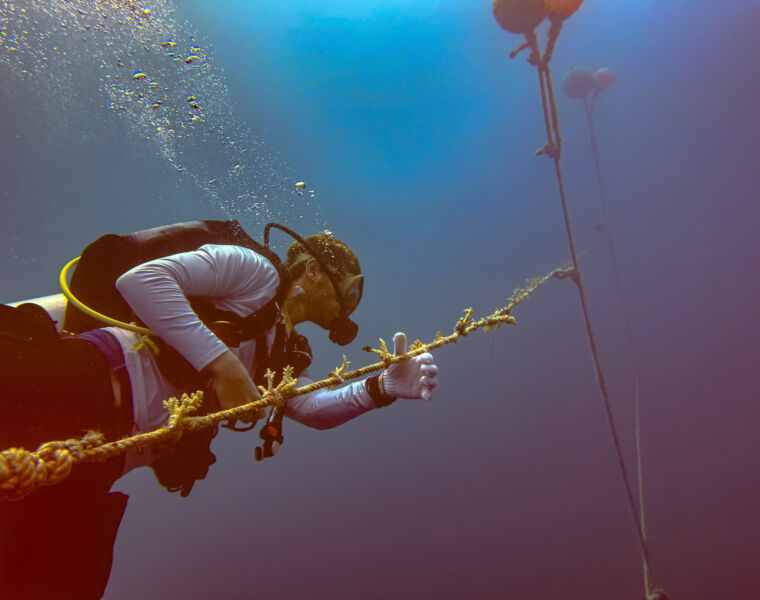 Nova Maldives Enhances Coral Restoration Efforts with Innovative Floating Nursery