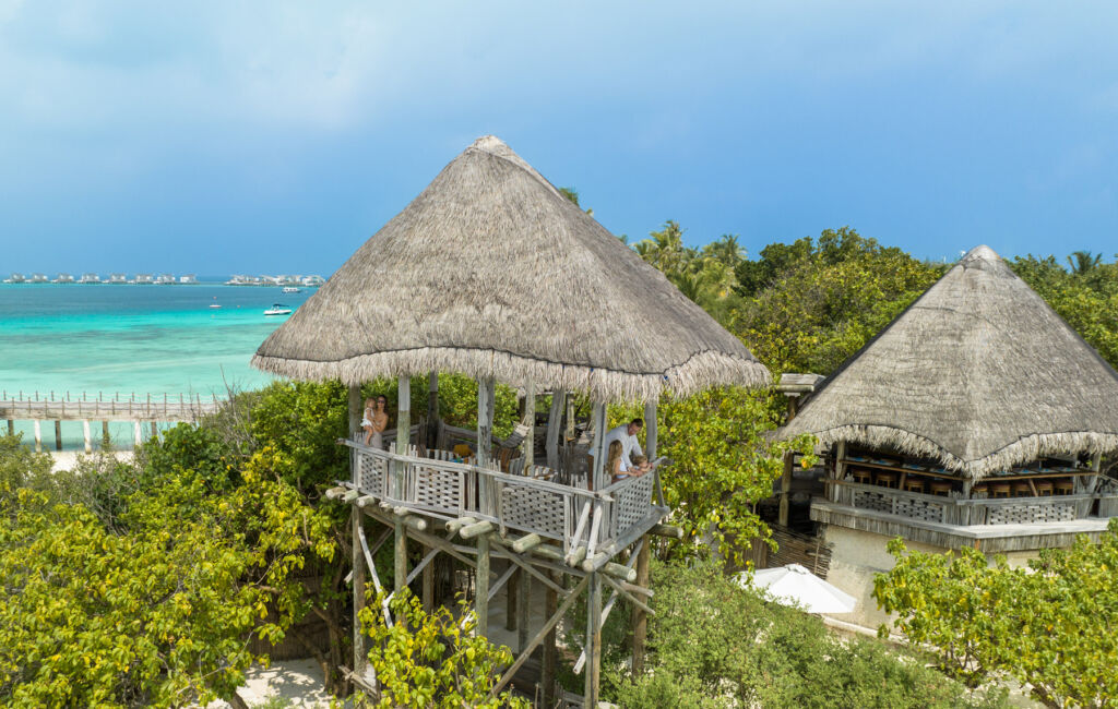 The reed roofed viewing platforms at the resort