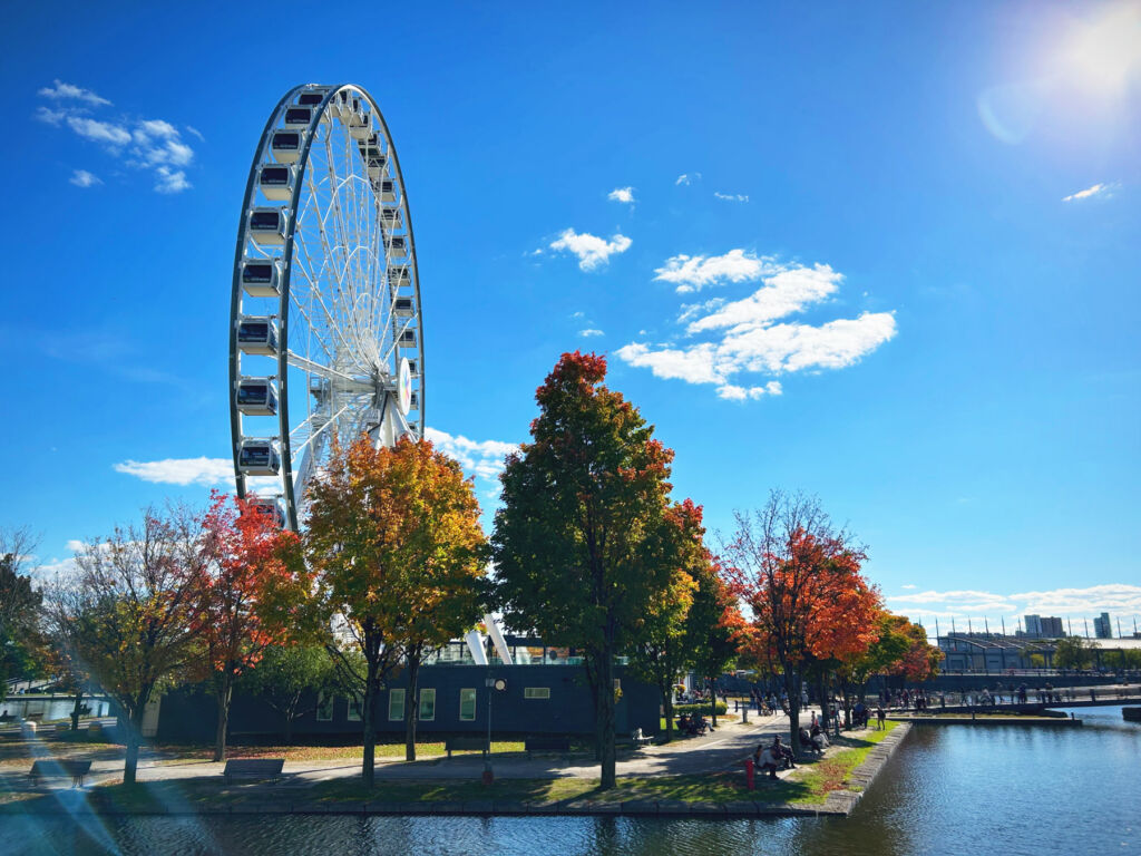 A photograph of the Observation Wheel