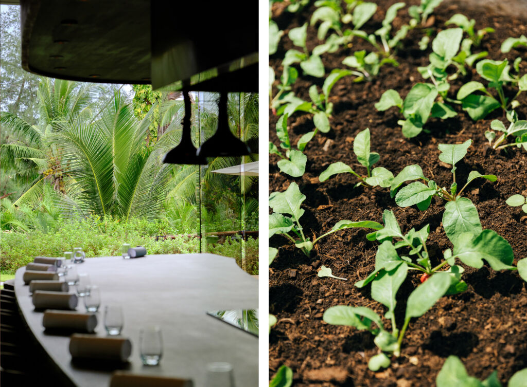 A photograph of the dining area and one of the fresh produce being grown