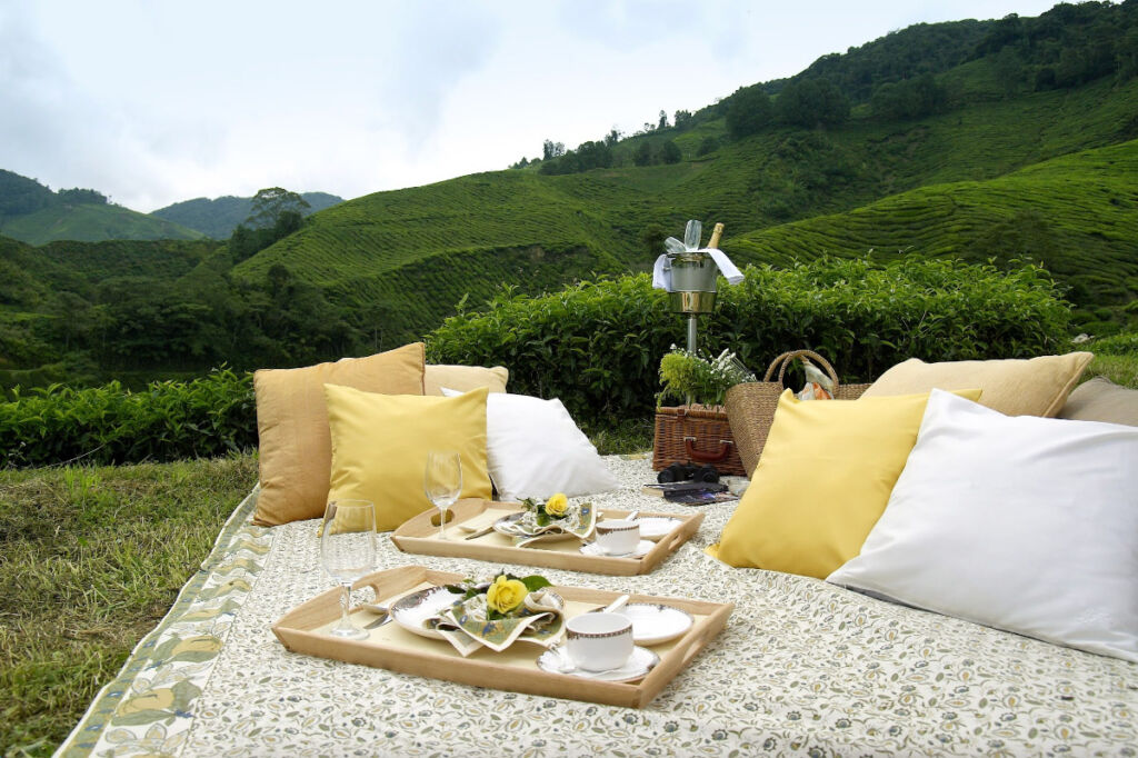 Cameron Highlands Resort Picnic Experience