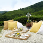 Cameron Highlands Resort Picnic Experience