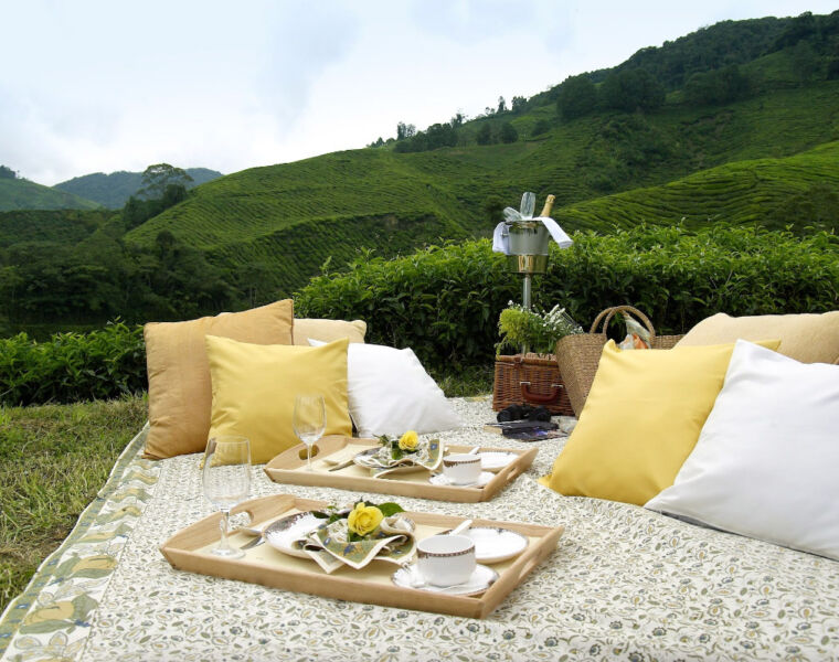 Cameron Highlands Resort Picnic Experience