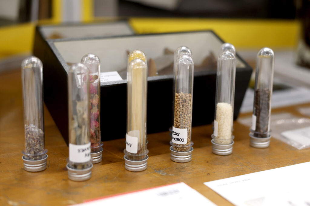 Seeds and specimens in glass vials