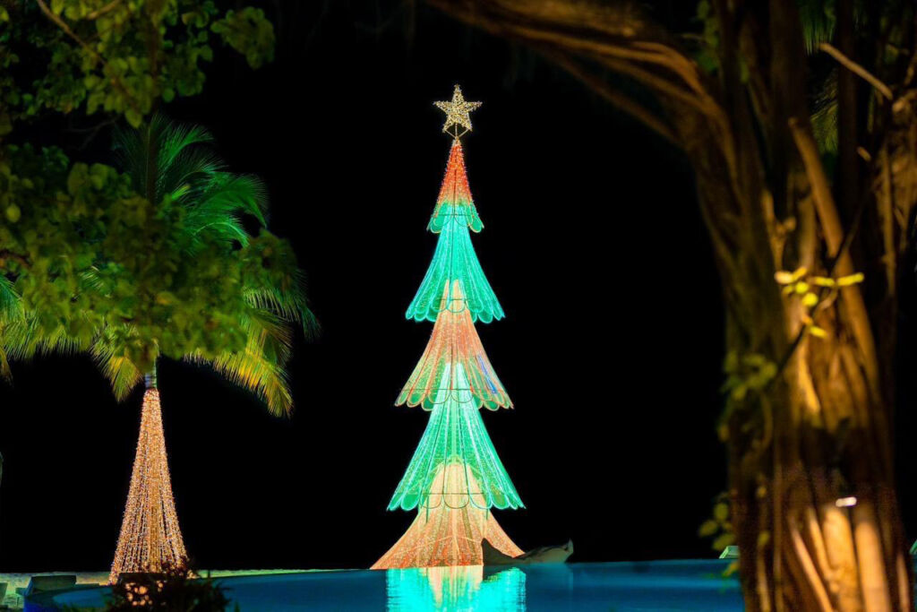 The unique Christmas tree by the pool